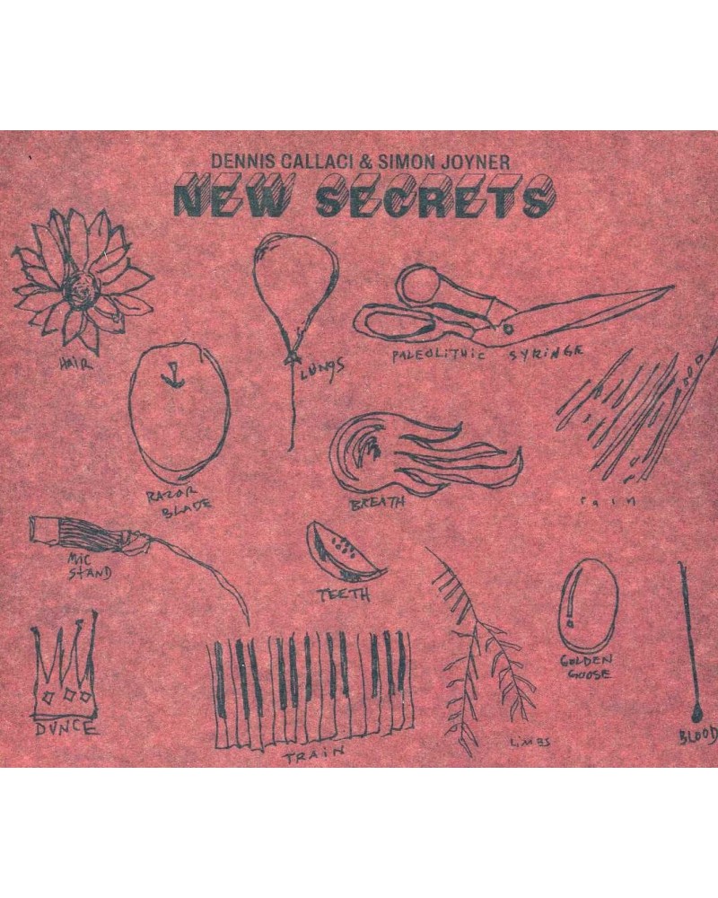 Dennis Callaci & Simon Joyner NEW SECRETS CD $6.24 CD