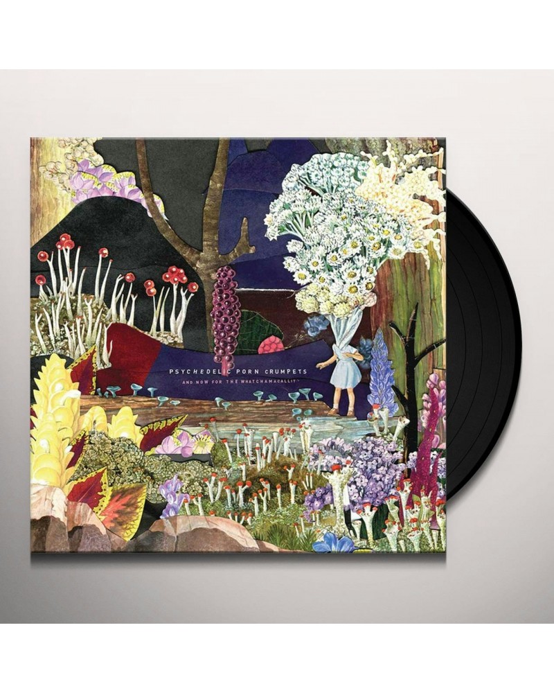 Psychedelic Porn Crumpets And Now For The Whatchamacallit Vinyl Record $11.70 Vinyl