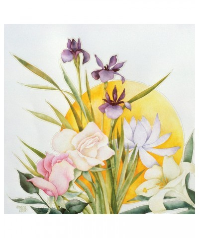 Robbie Basho BOUQUET CD $6.21 CD